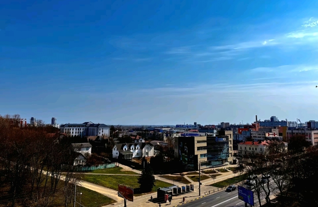 为什么会产生“偏爱心理”？