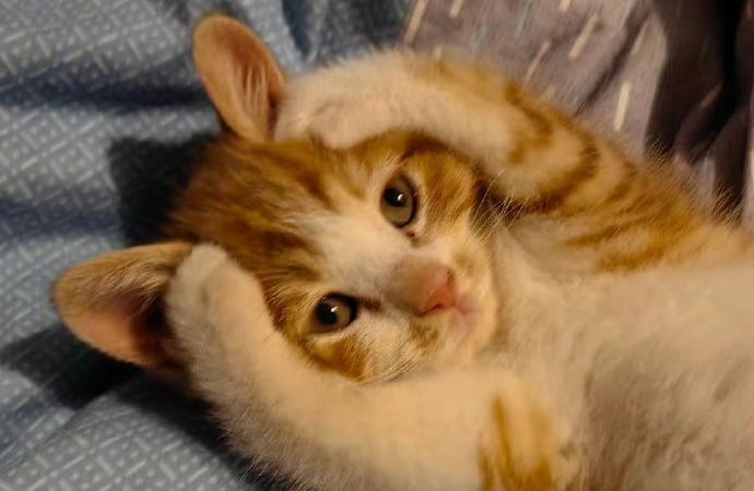 关系长久的秘密：尊重边界，深度共情