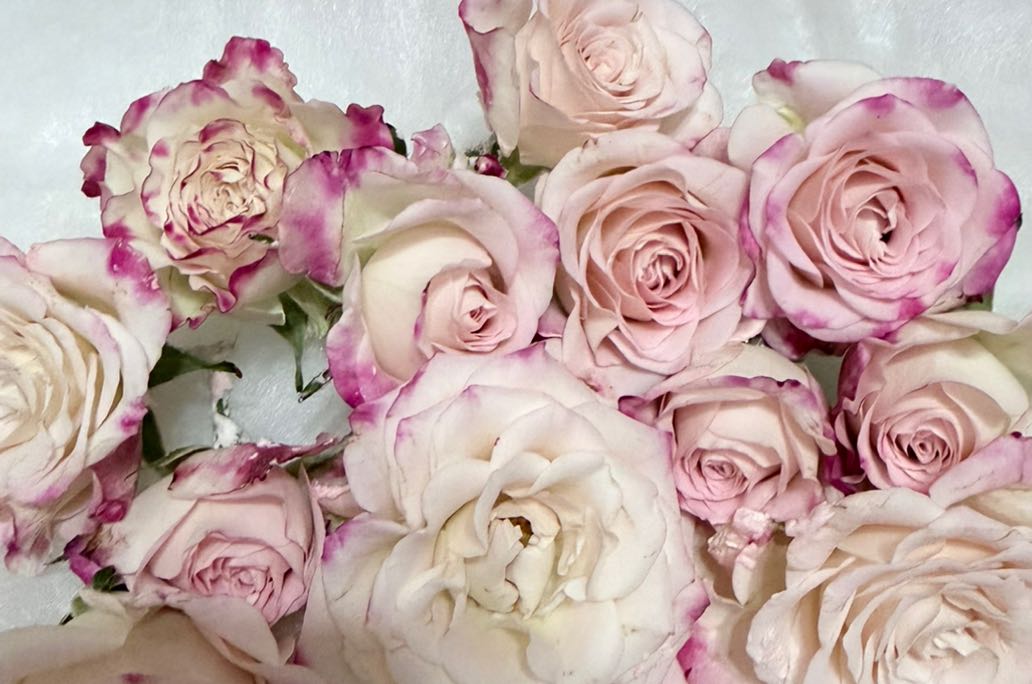 如何利用运动、睡眠和饮食来优化情绪状态？
