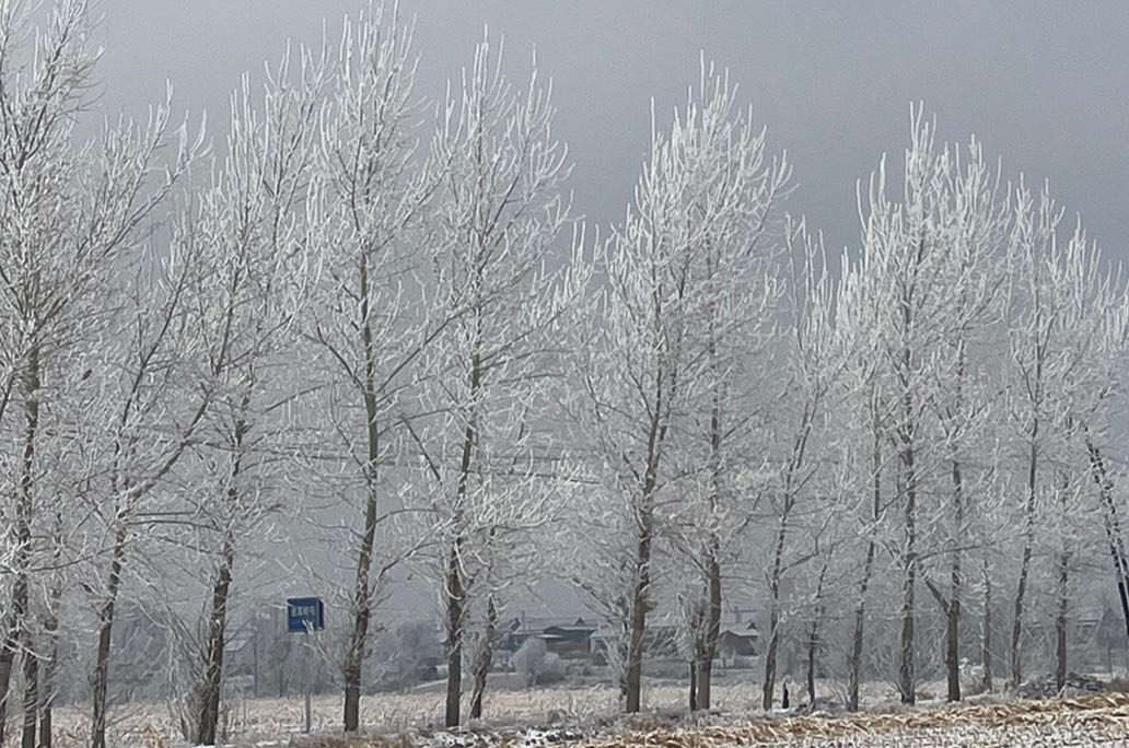 高自尊人有什么样的特点？