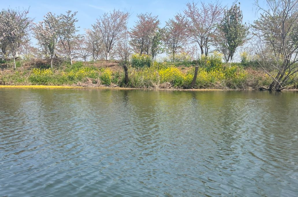 亲手斩断原生家庭的业力，终结代际创伤的轮回