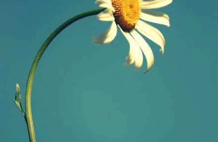 如何在职场中找到自己的二八定律？