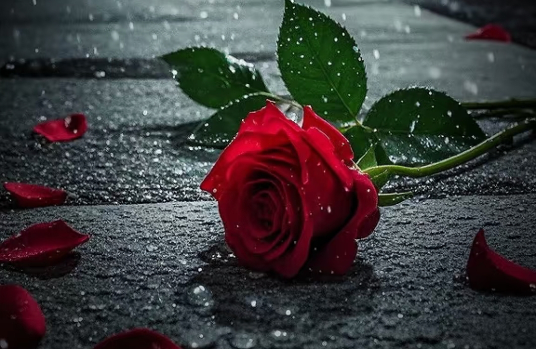 他的忽冷忽热，是性格还是不爱？