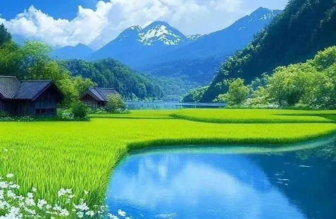 心理资本的构成逻辑与发展模型