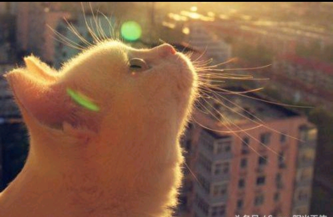 29岁还没结婚，不是失败，是你在认真选人生