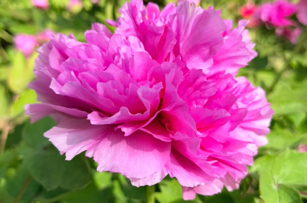 青春期孩子总感觉累有哪些原因？