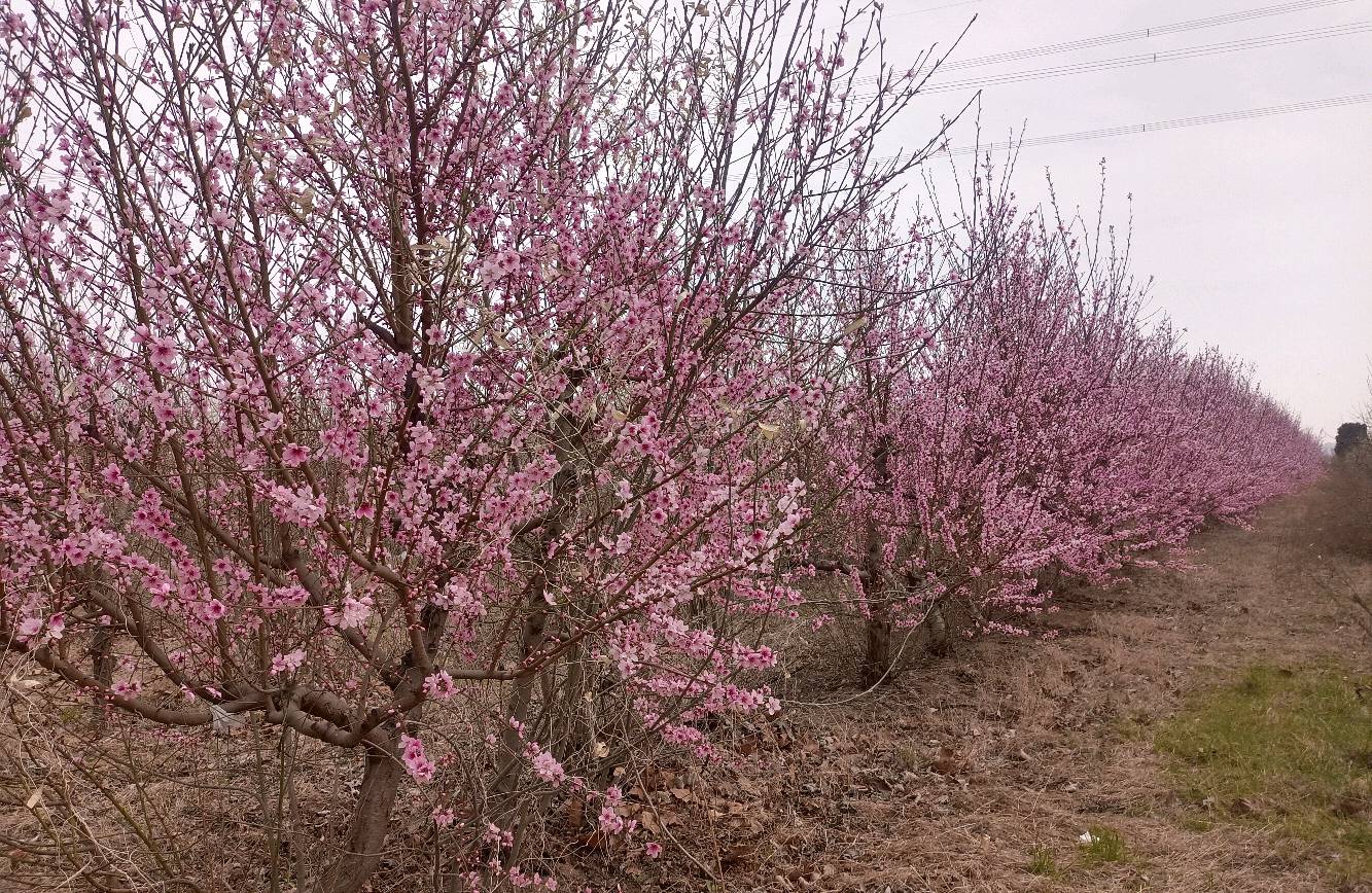 如何调整自律的正确心态
