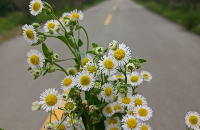 如何培养“人的主体性”？