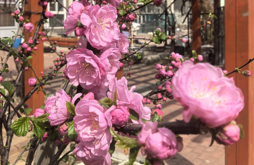 你比自己想象的，更会“习惯”