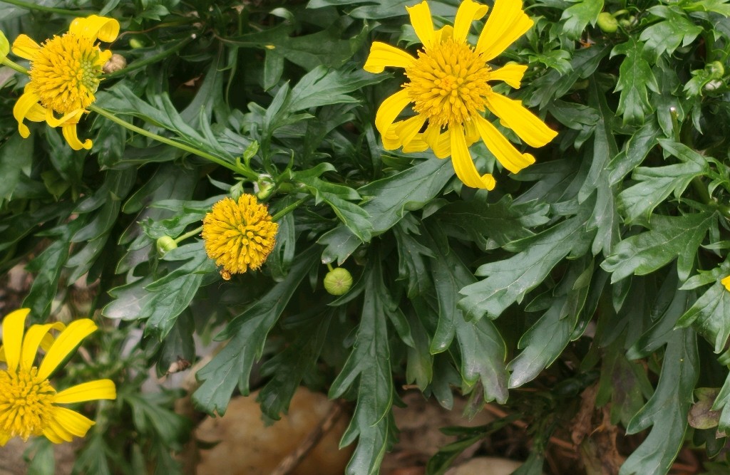 感恩教育如何促进青少年的心灵成长？