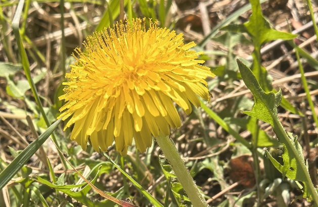 生儿育女带来的人生全面变化