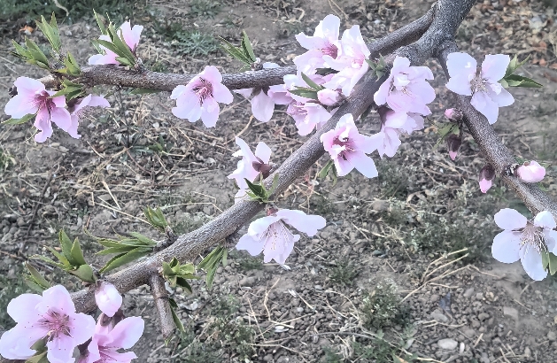 世俗普通人心态与“无我”“无常”的理性思辨