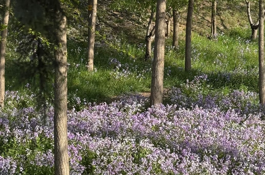 
成年人的友谊，为什么这么易碎？