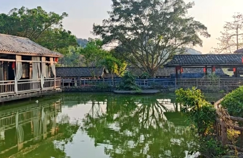 摆脱内耗，不要轻易共振别人的投射