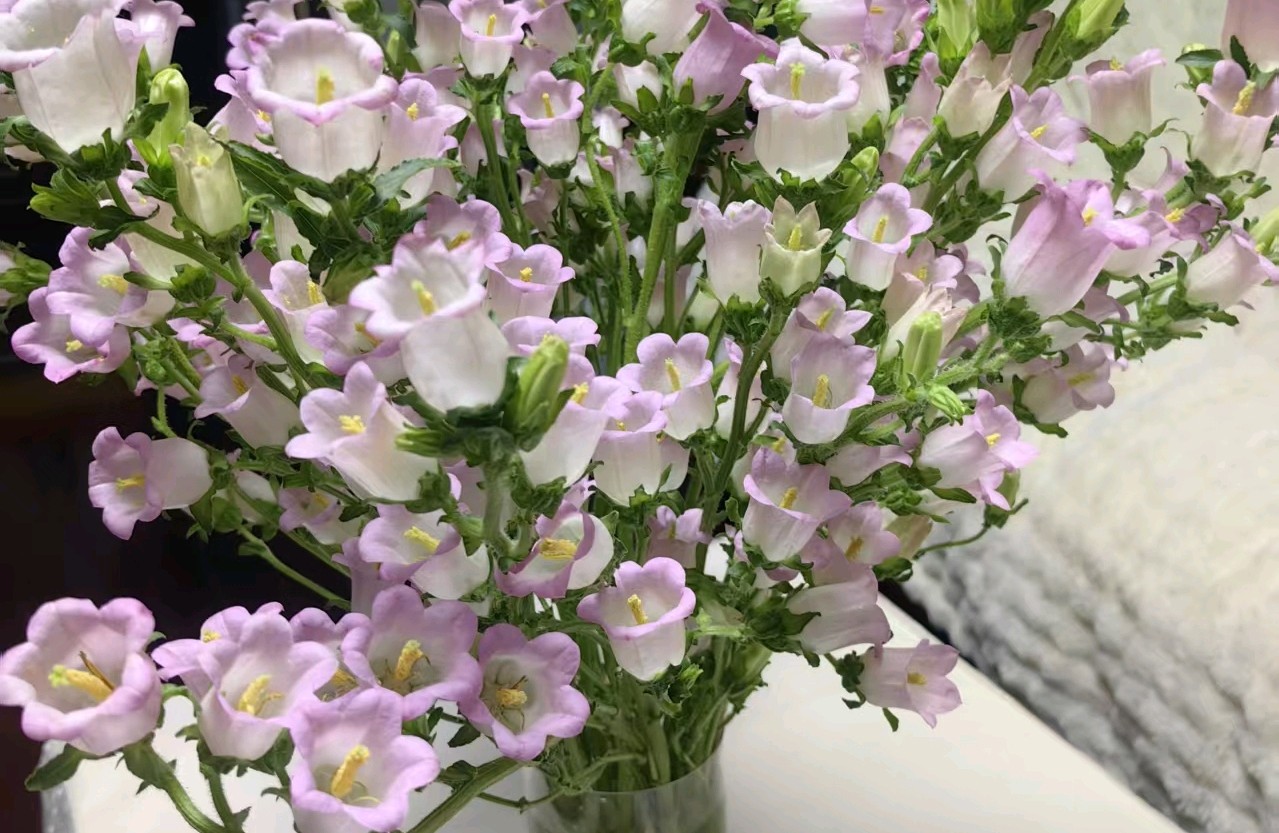 姐弟恋想要长久，这几件事一定要懂