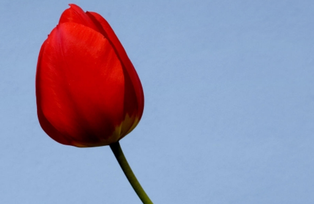 姐弟恋如何融洽相处