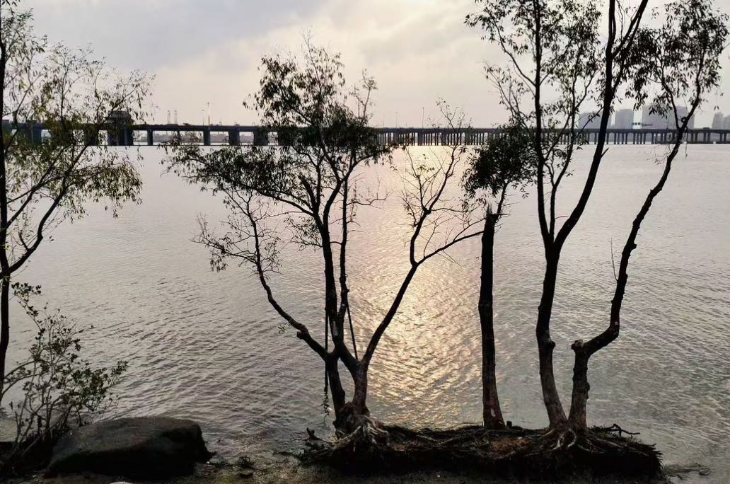 如果你的老公总是指责你，你该怎么办？