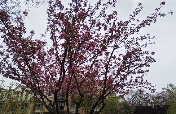 人际关系中哪些行为会加深信任？