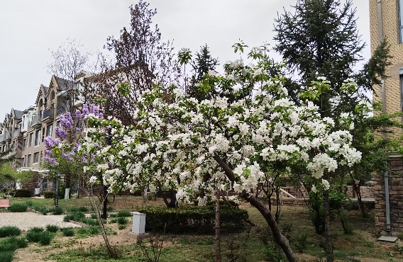 分手后还可以做朋友吗？