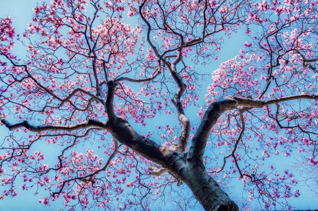 二婚重组家庭，婆媳关系怎么处才不内耗？