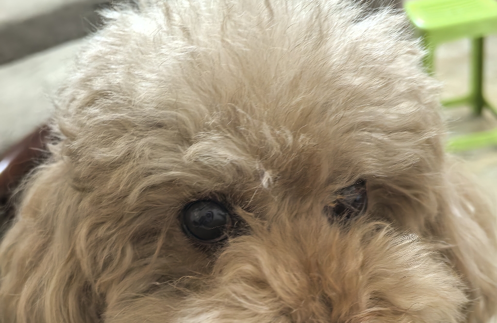 你为什么在关系里把“等待”当成考验，永远希望对方主动？