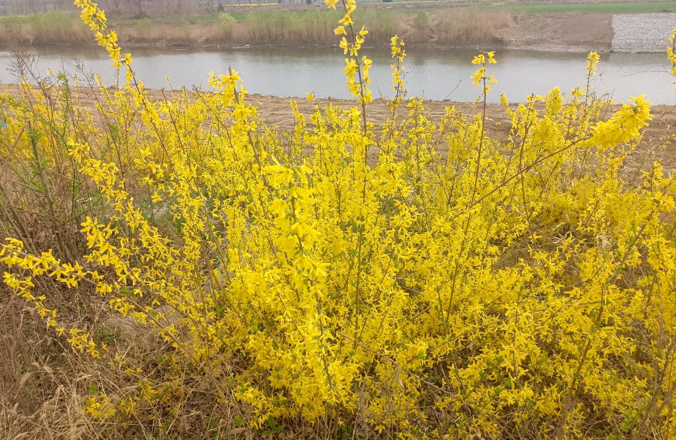 如何降低期待和价值感