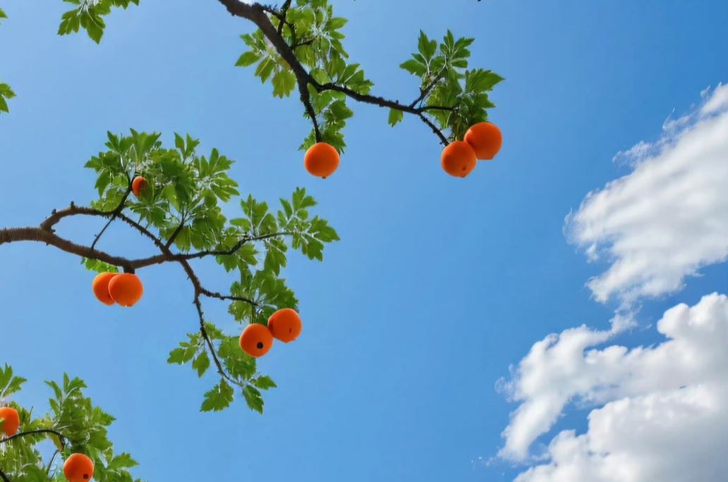 坏情绪怎么去安抚？