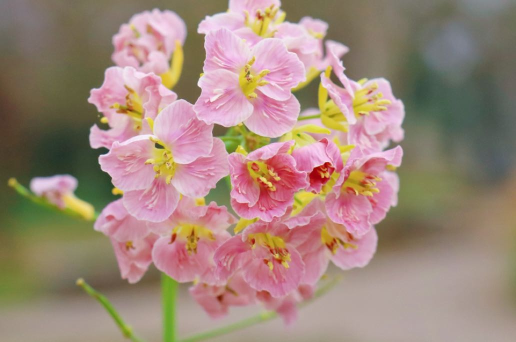 婚姻危机的真相：不是不爱了，而是这3个“卡点”没打通