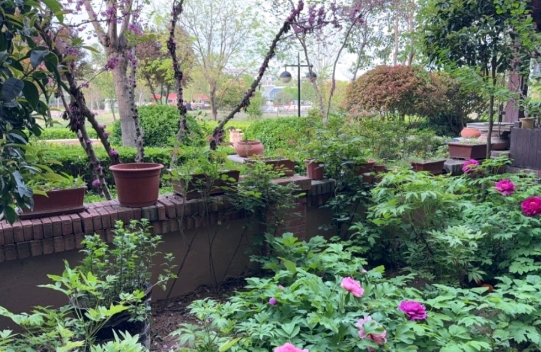 一个人会对别人好奇和敏感的建议