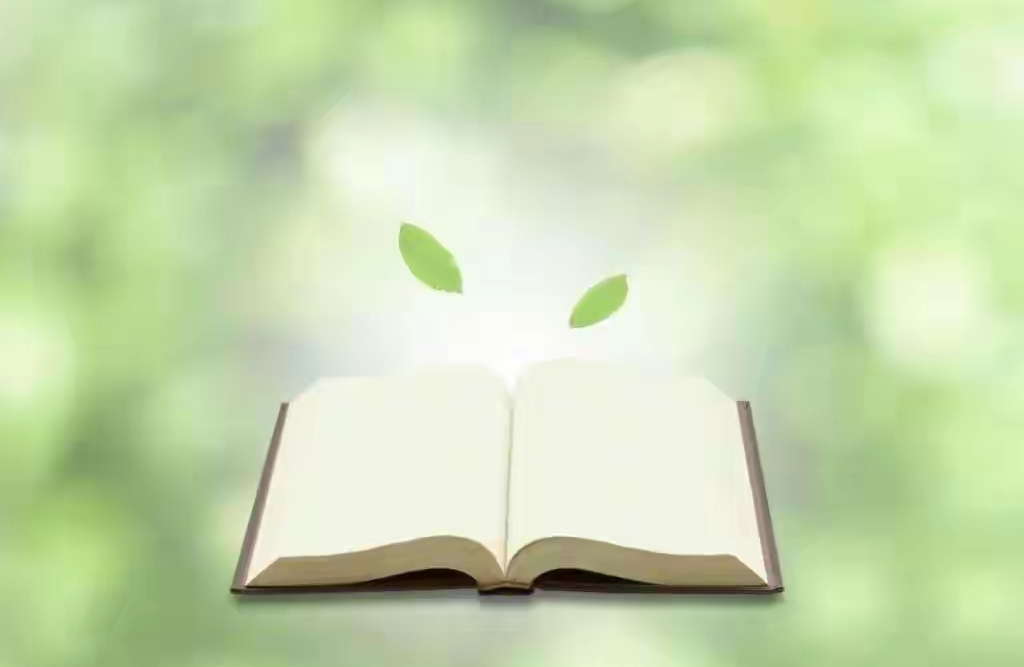 爱的正向循环：如何在关系中建立自我滋养的生态