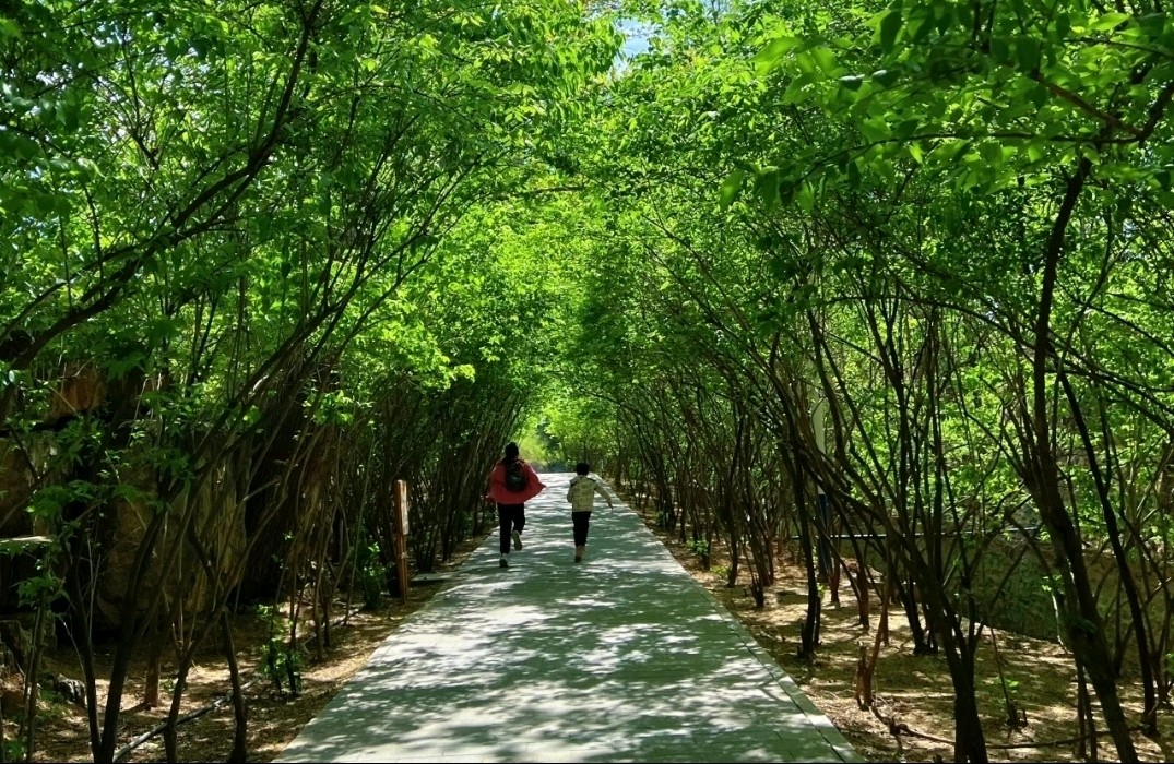 自卑是好是坏？