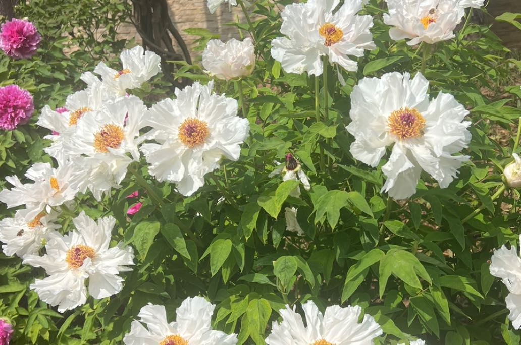 跳出拉扯内耗，重建亲密关系