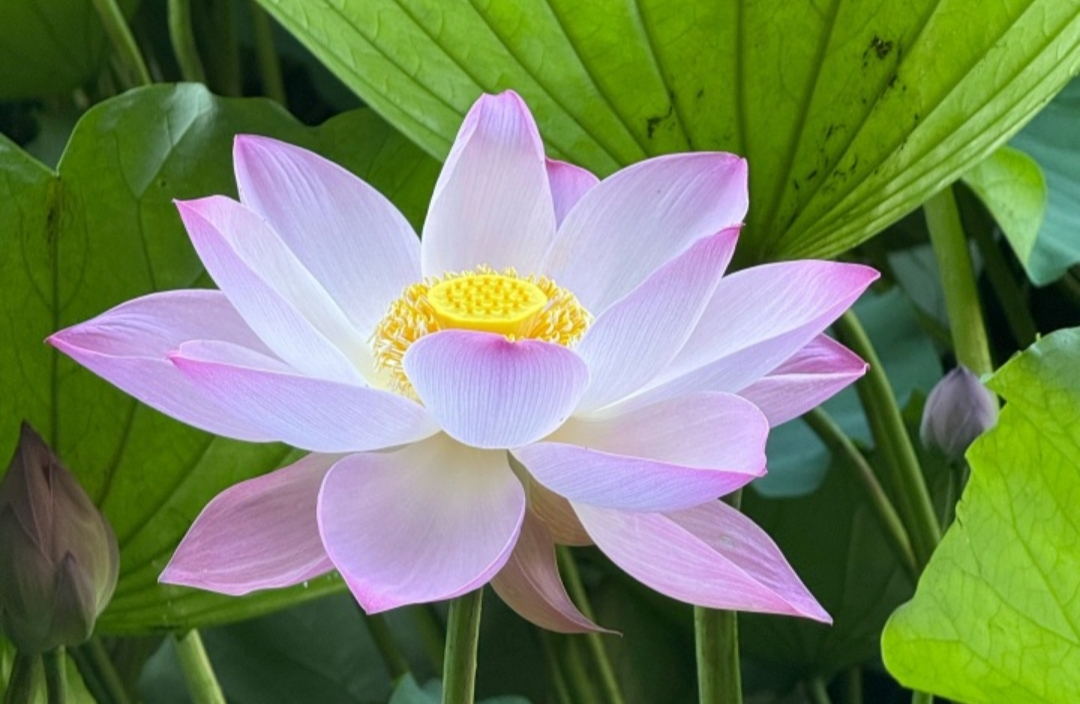 如何与叛逆期的孩子沟通