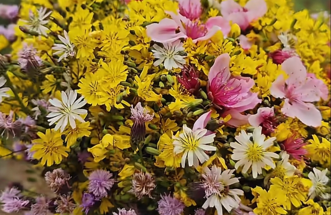 如何“拒绝别人”？