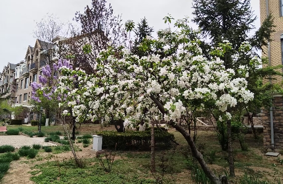 异地恋的情感挽回？