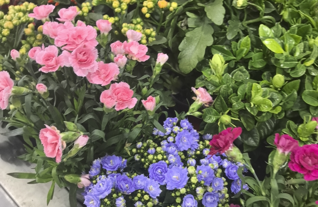 停止焦虑后，恋爱变得更甜了！我学会了做这3件事～