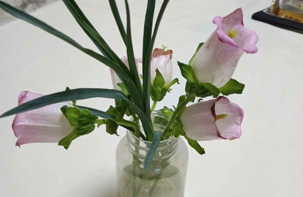 当恋爱对象提出30万彩礼的时候，我应该怎么办？