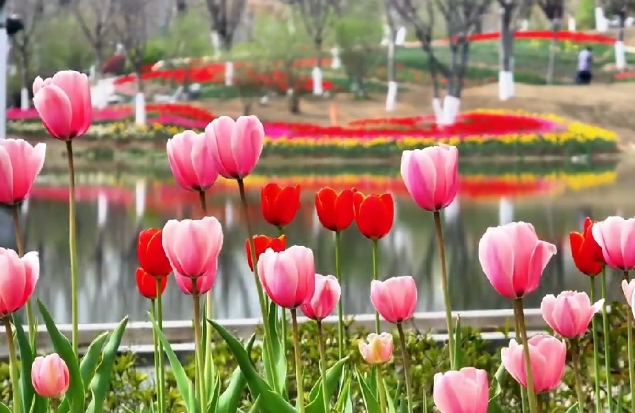 跳出舒适圈：从“知道不足”到“真正改变”的实操指南