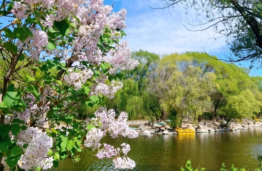 给正在硬扛的你：脆弱不是弱点，前行才是勋章