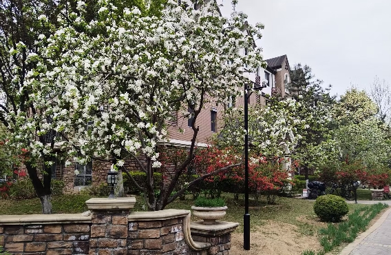 理想型男人都喜欢什么样的女人？