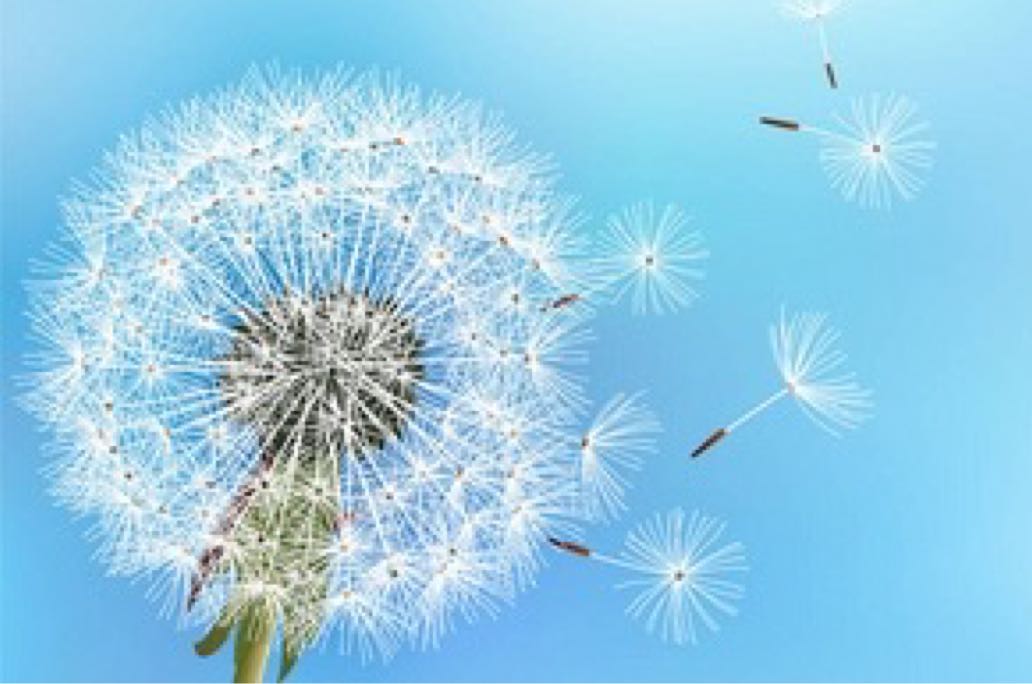 有效战胜自卑，在爱人面前自信绽放