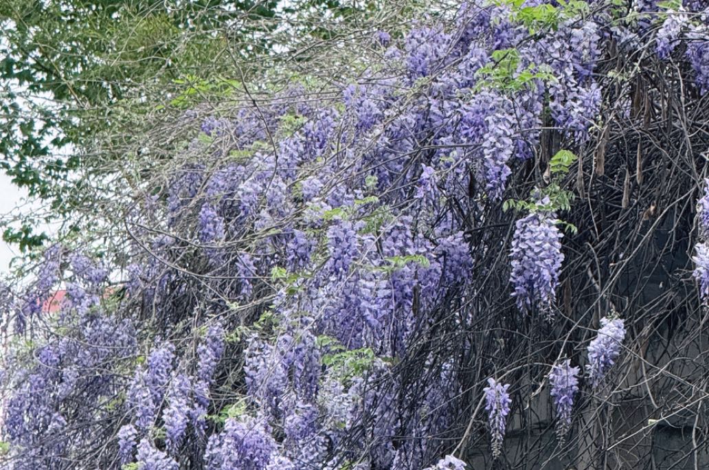 告别爱而不得：5步帮你走出情感遗憾