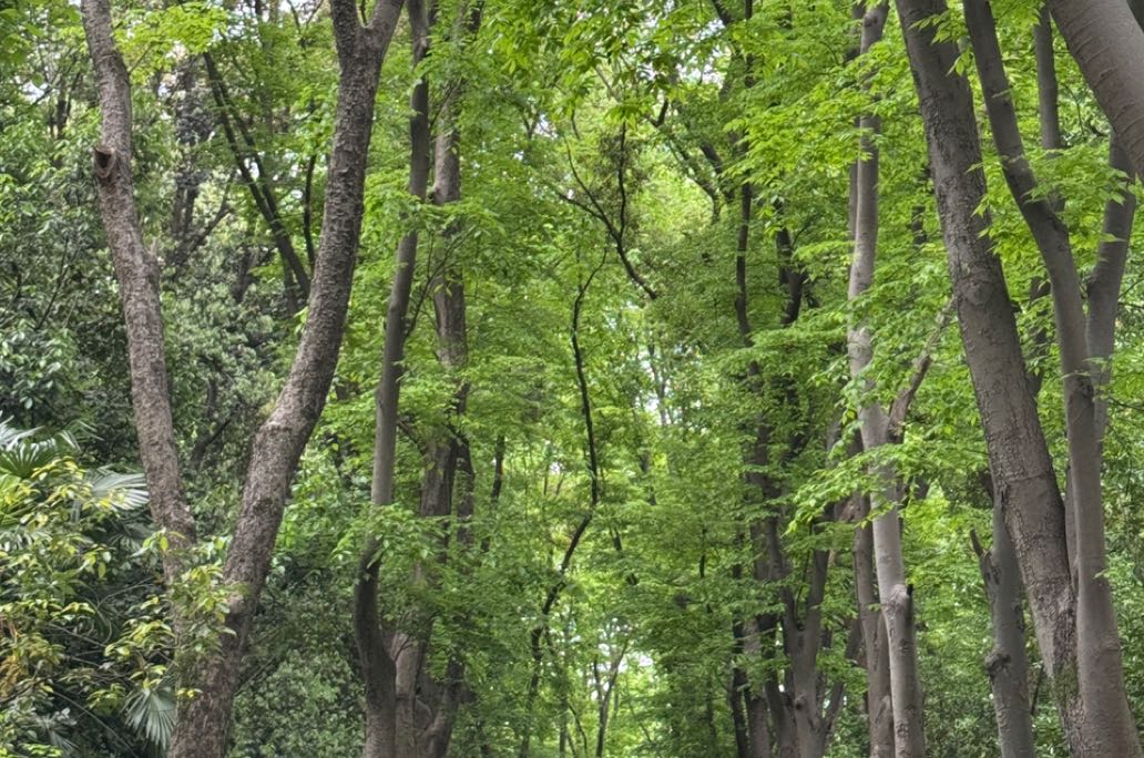 告别焦虑内耗：4个方法帮你稳住情绪