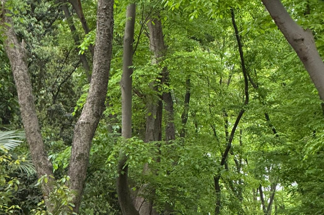 告别爱而不得：5步帮你走出情感遗憾