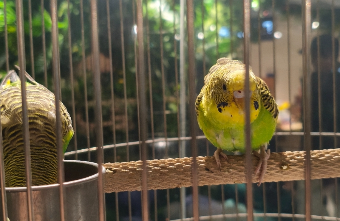 为什么越相爱的人，反而越容易分开？