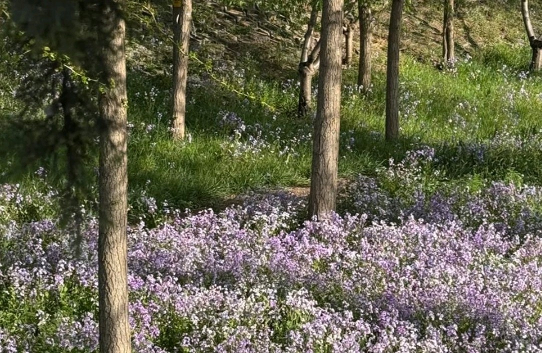 成年人的友谊，为什么这么易碎？