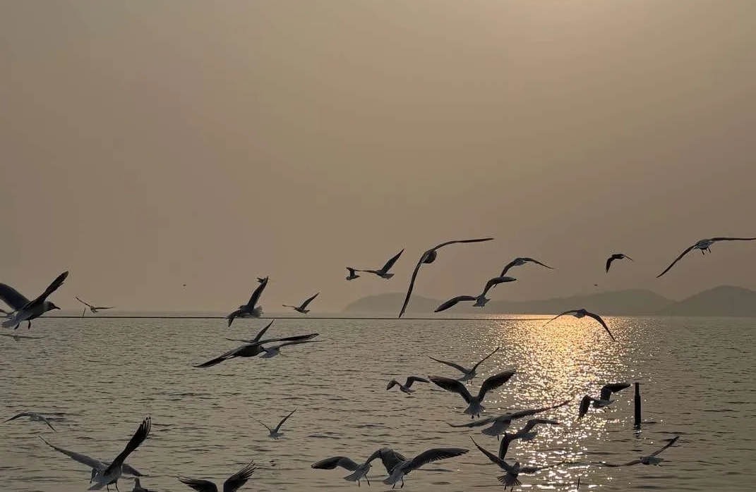 父子情感：爱与边界的平衡术