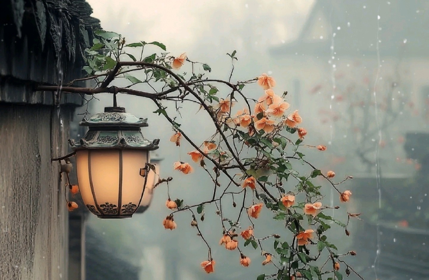 精准感知、合理表达与真诚共情实操步骤