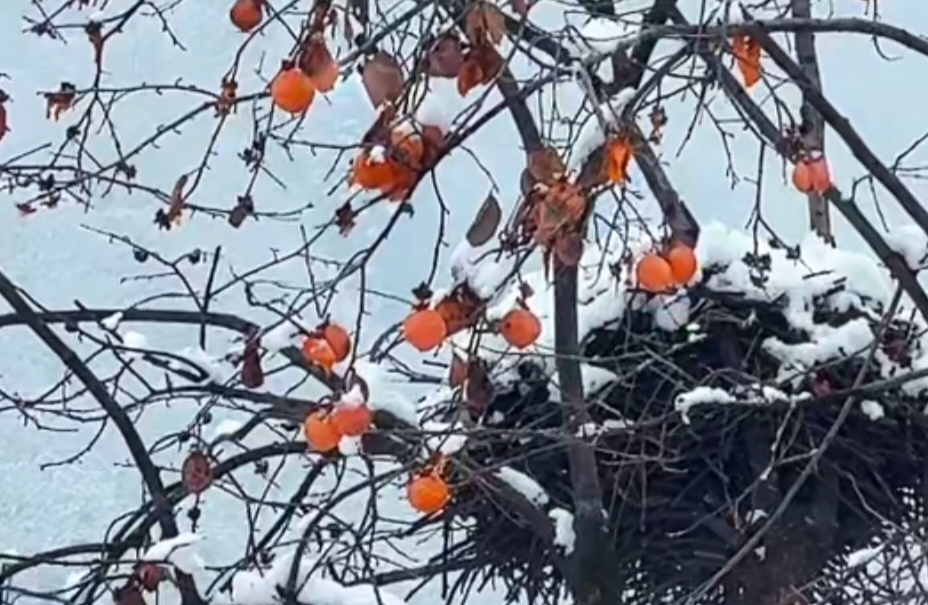 遇到对的人会有哪些征兆？