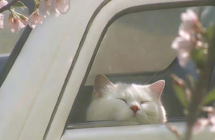 不联系≠不想你：解读男人的沉默信号